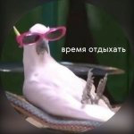 7060.jpg