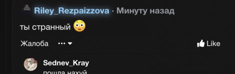 IMG_0523.jpeg